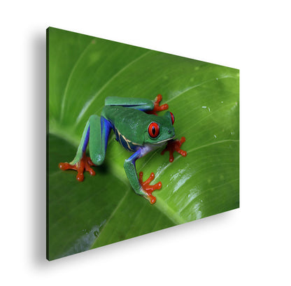 Hauptbild Farbig Standart