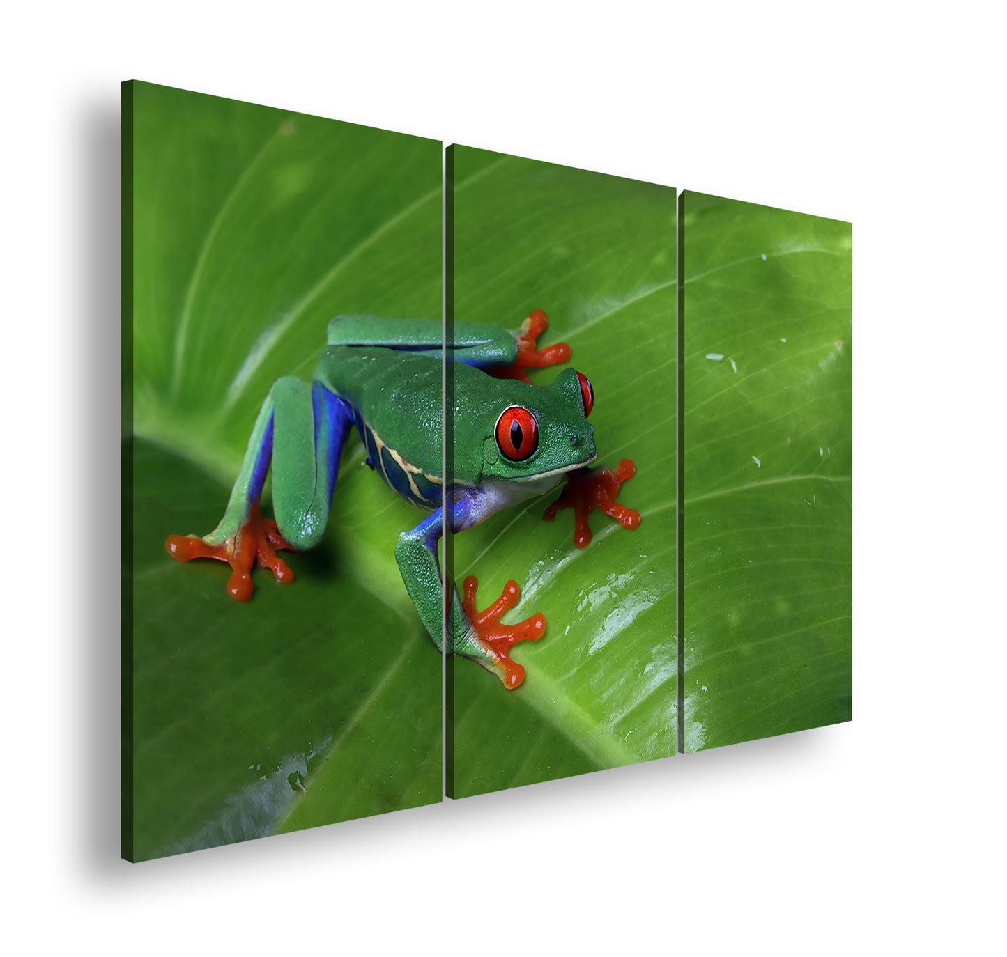 Hauptbild Farbig 3 Teilig