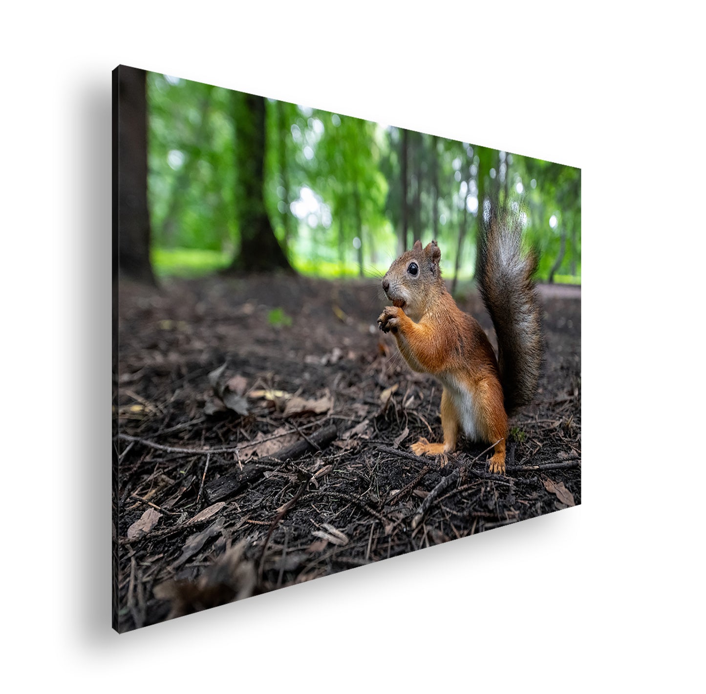 Hauptbild Farbig Standart