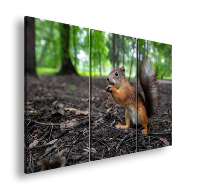 Hauptbild Farbig 3 Teilig