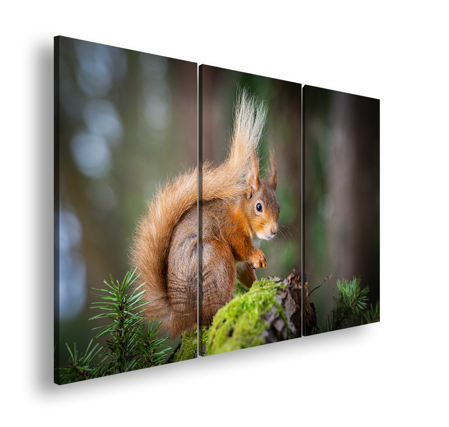 Hauptbild Farbig 3 Teilig