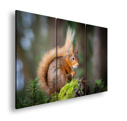 Hauptbild Farbig 3 Teilig