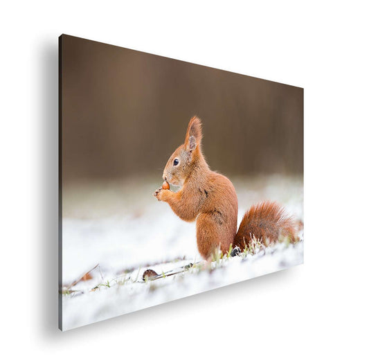 Hauptbild Farbig Standart