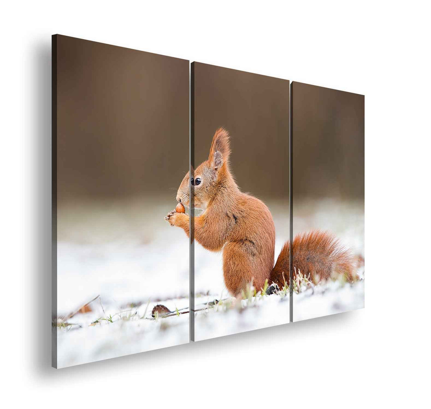 Hauptbild Farbig 3 Teilig