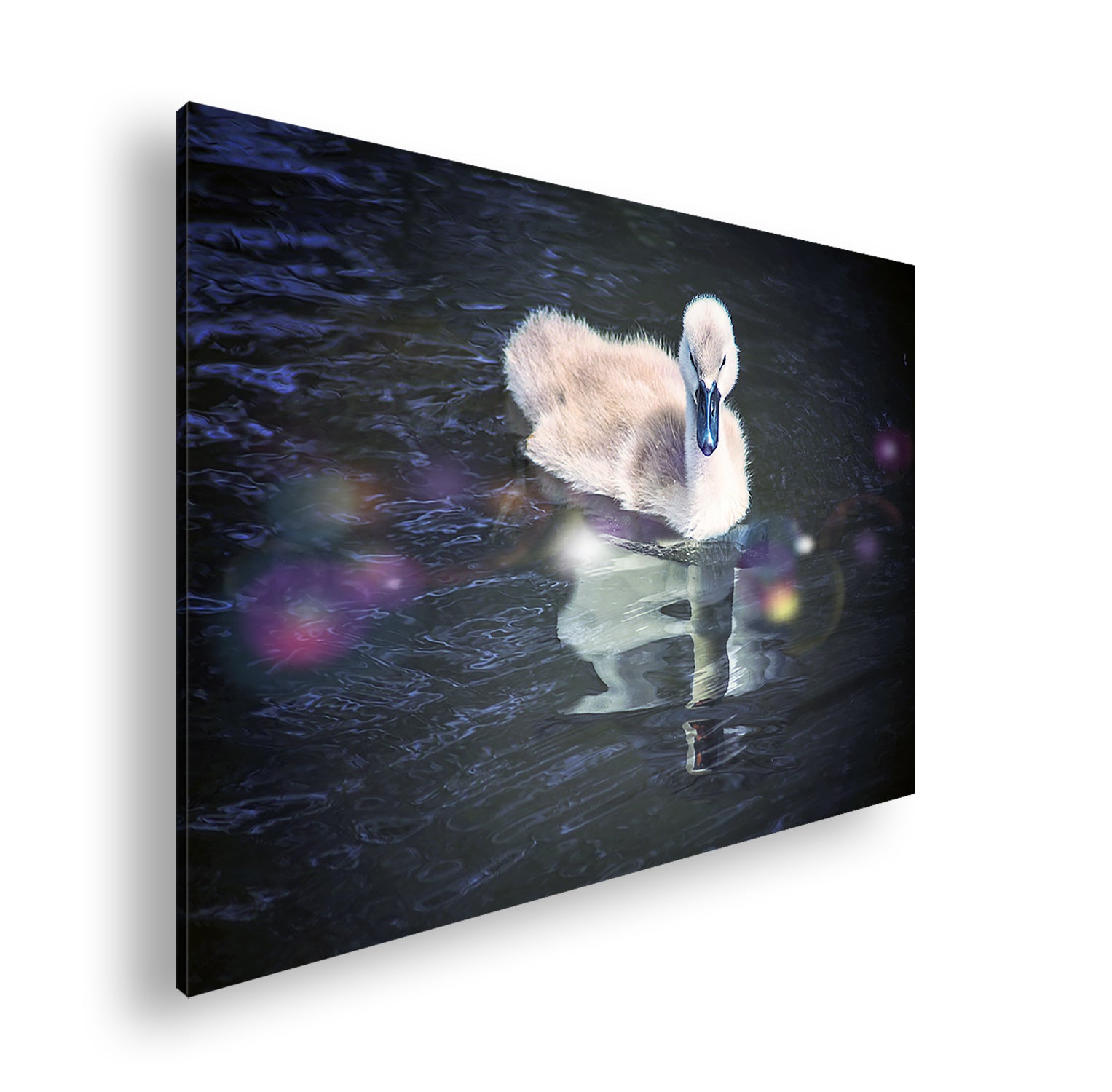 Hauptbild Farbig Standart