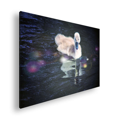 Hauptbild Farbig Standart