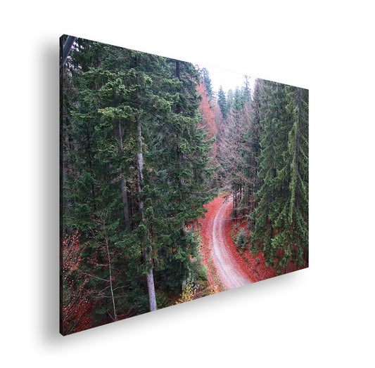 Hauptbild Farbig Standart