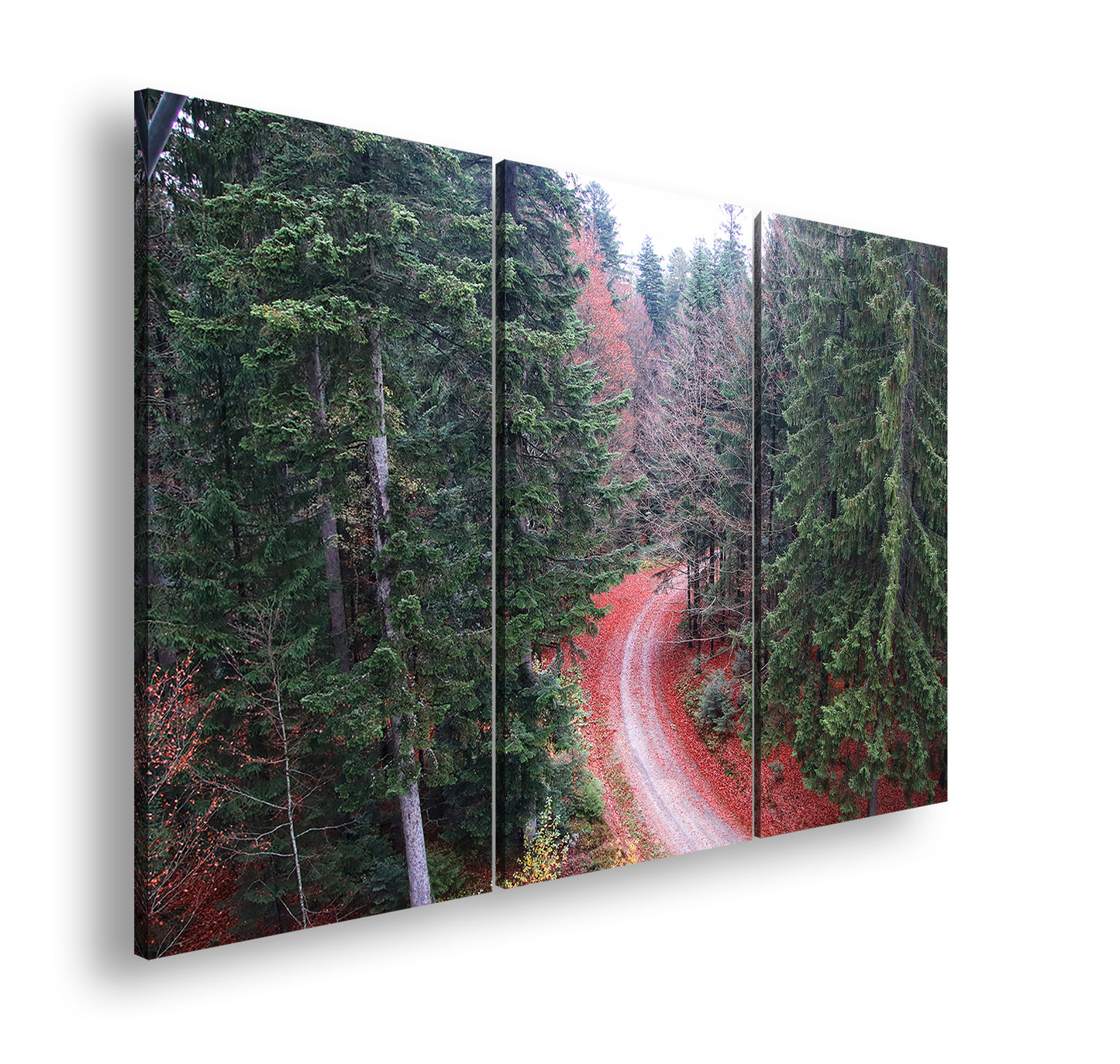 Hauptbild Farbig 3 Teilig