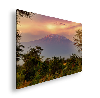 Hauptbild Farbig Standart