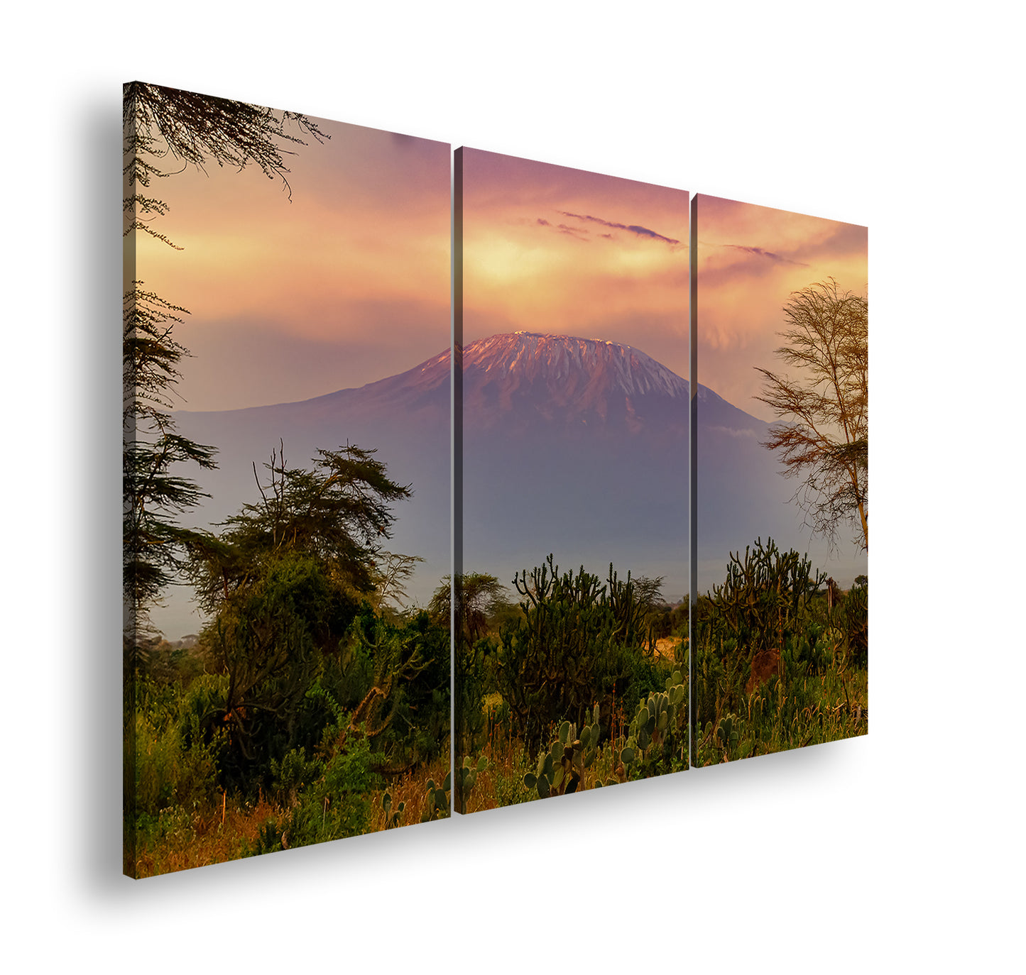 Hauptbild Farbig 3 Teilig