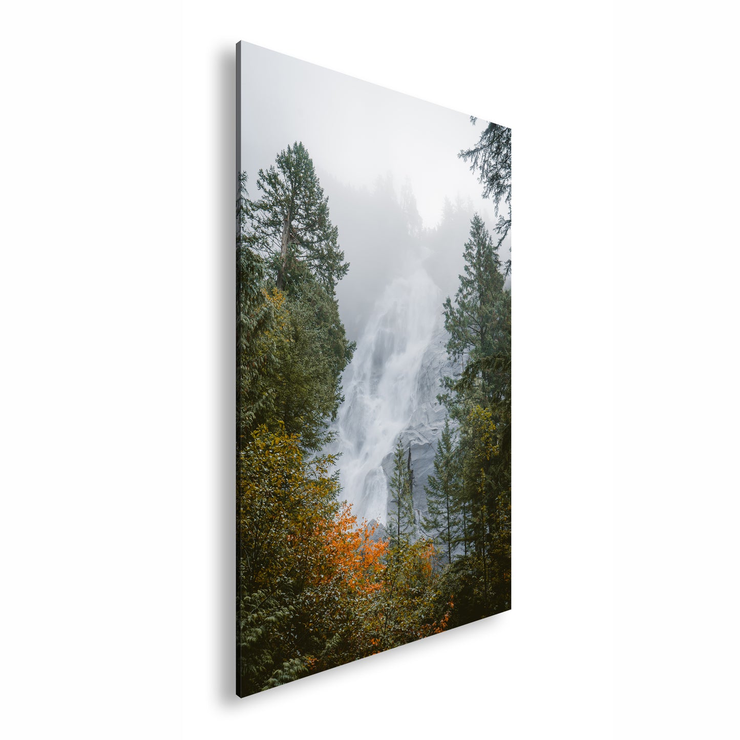 Hauptbild Farbig Standart