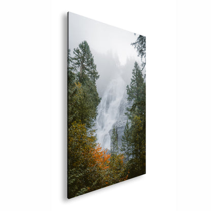 Hauptbild Farbig Standart