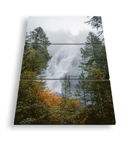 Hauptbild Farbig 3 Teilig