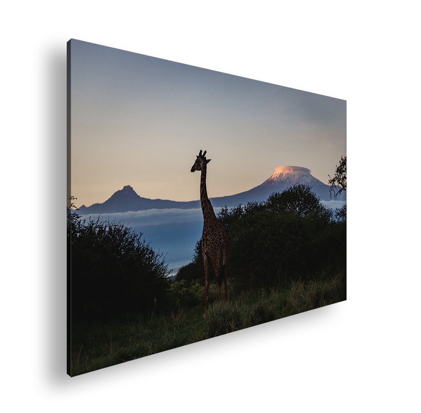 Hauptbild Farbig Standart