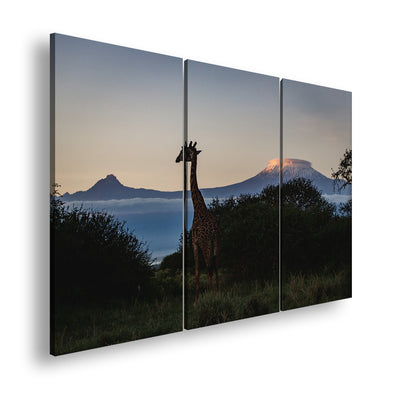 Hauptbild Farbig 3 Teilig