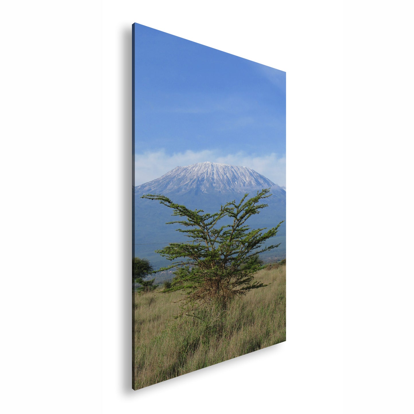 Hauptbild Farbig Standart