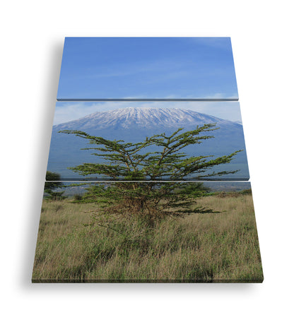 Hauptbild Farbig 3 Teilig