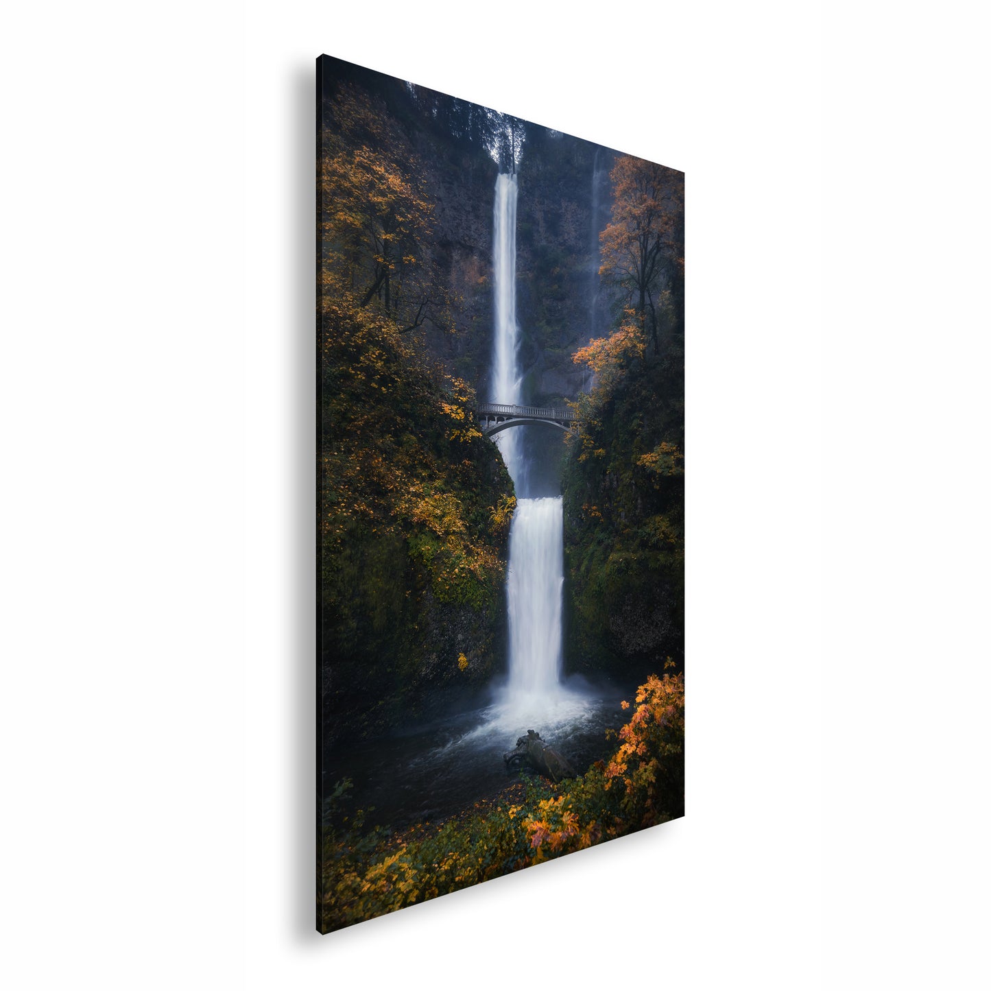 Hauptbild Farbig Standart