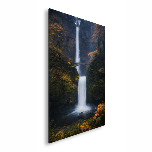 Hauptbild Farbig Standart