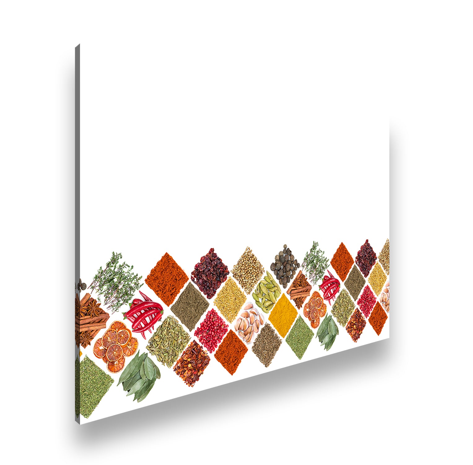 Hauptbild Farbig Standart