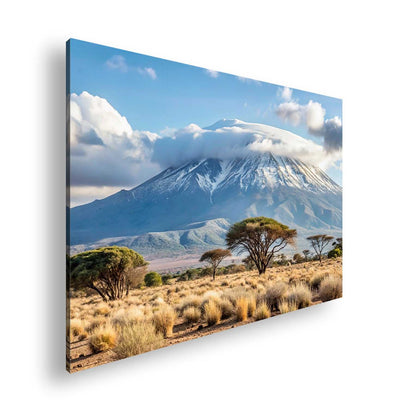 Hauptbild Farbig Standart