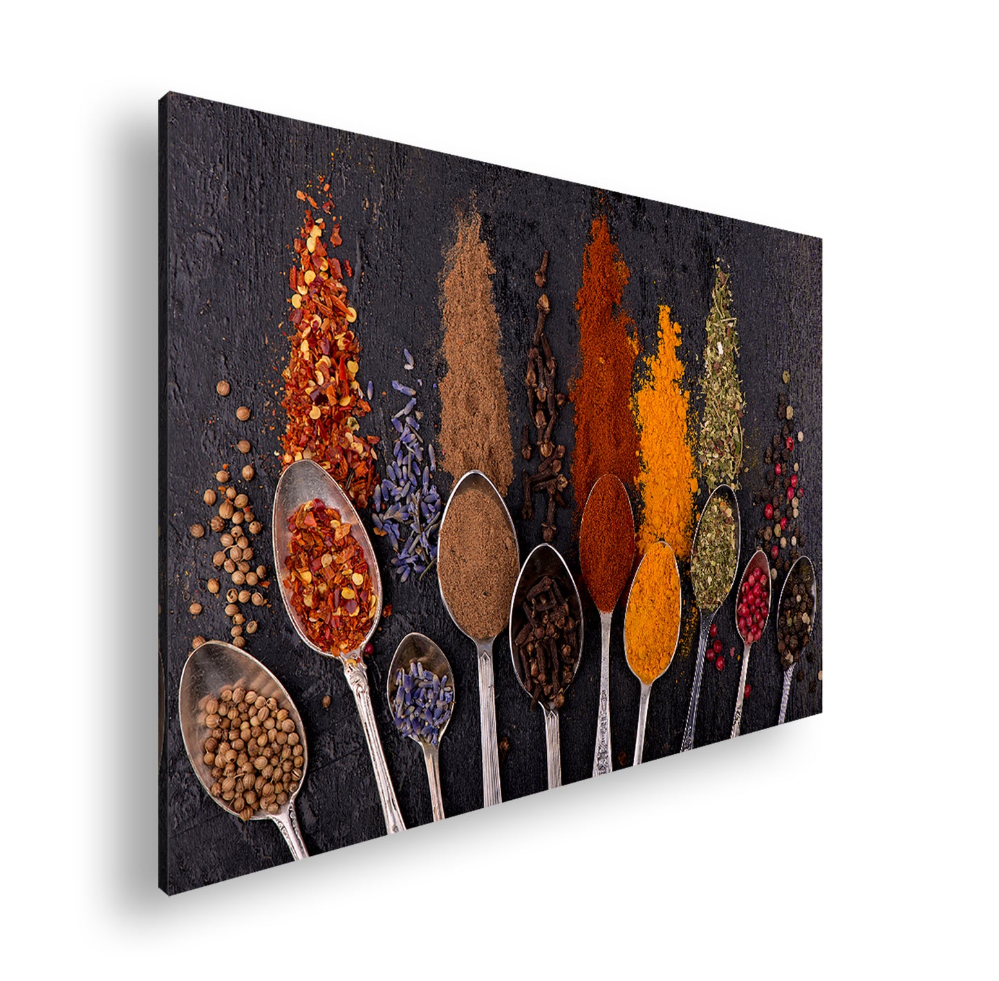 Hauptbild Farbig Standart