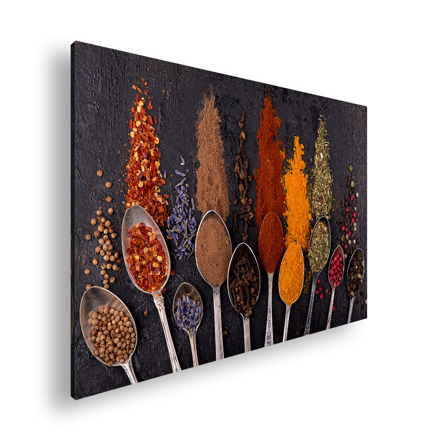 Hauptbild Farbig Standart