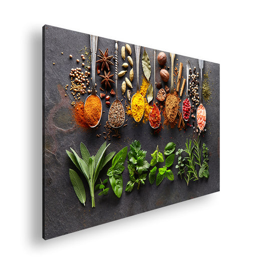 Hauptbild Farbig Standart