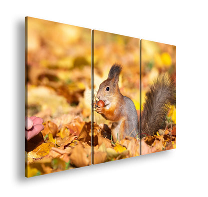 Hauptbild Farbig 3 Teilig