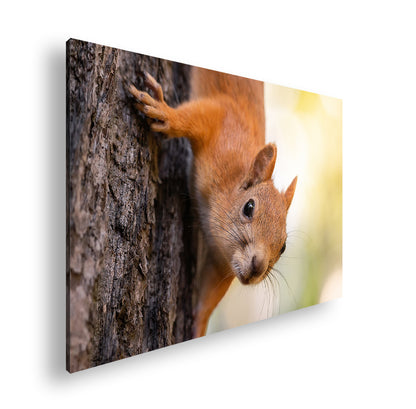 Hauptbild Farbig Standart