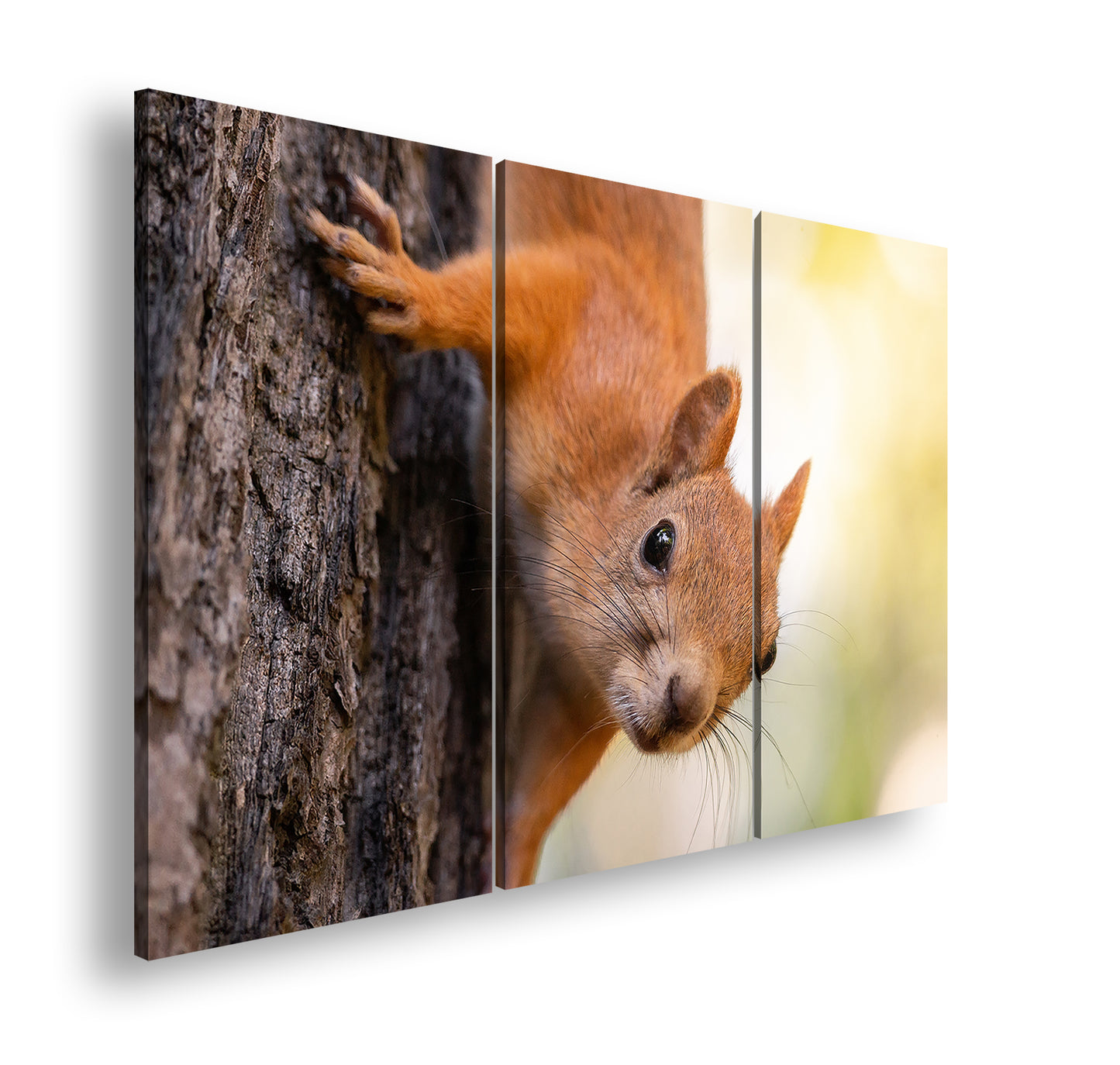 Hauptbild Farbig 3 Teilig