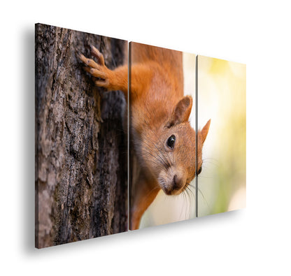 Hauptbild Farbig 3 Teilig