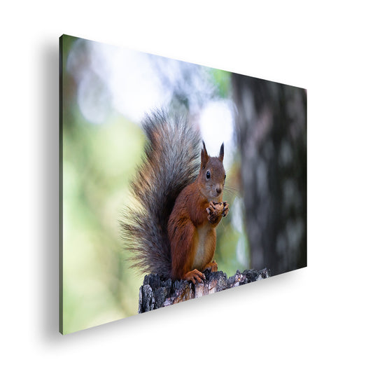 Hauptbild Farbig Standart