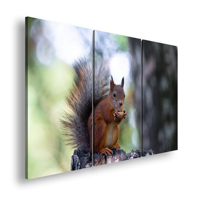 Hauptbild Farbig 3 Teilig