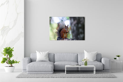 Vorschaubild Wohnzimmerbild 1