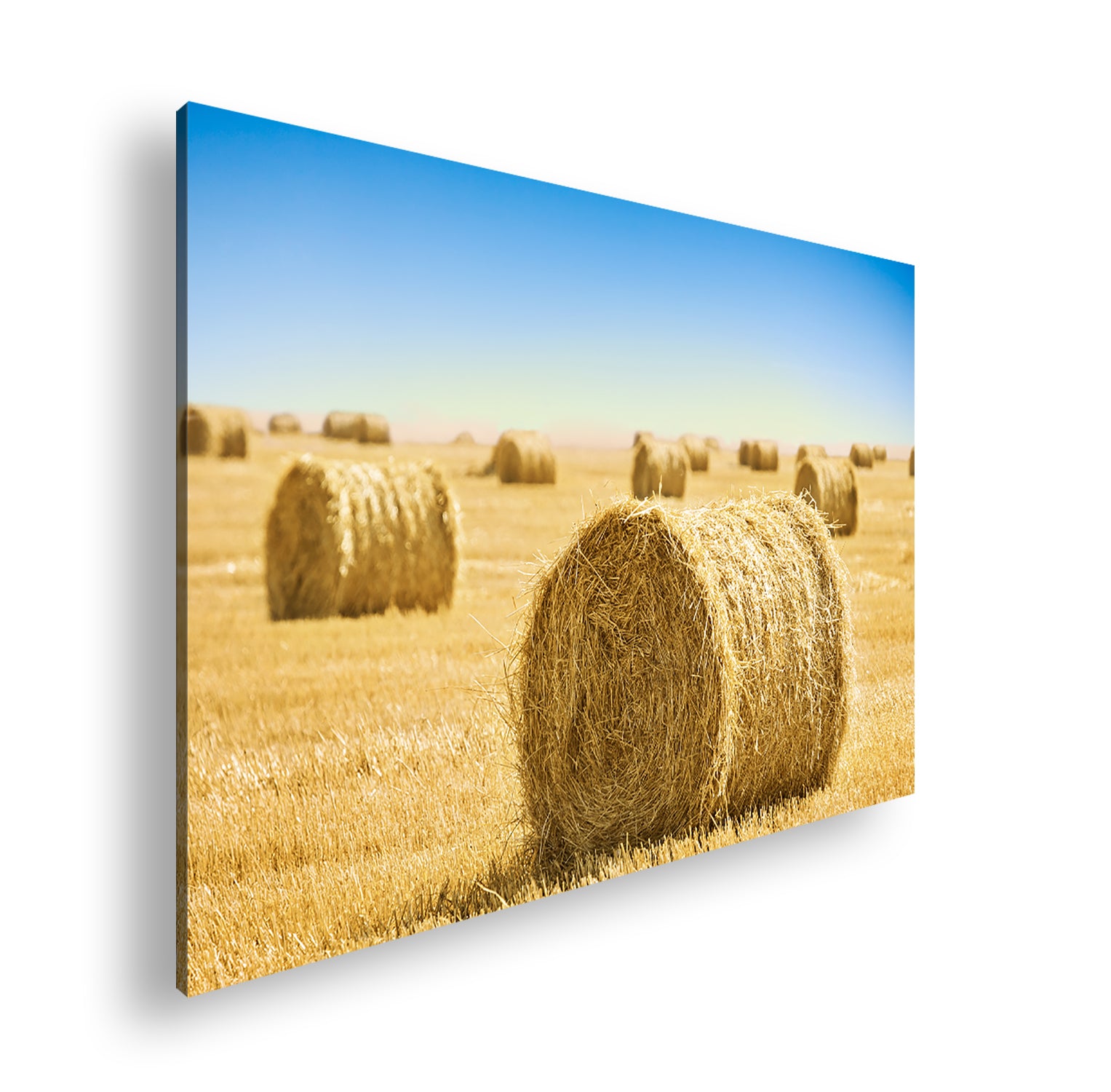 Hauptbild Farbig Standart