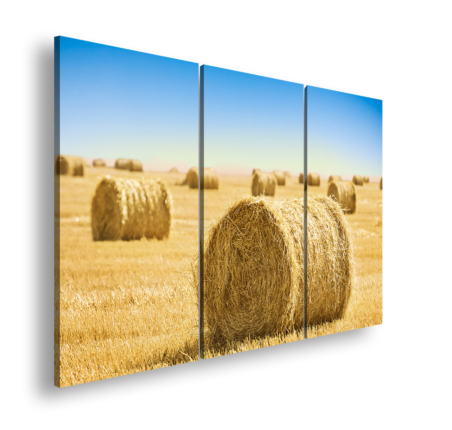 Hauptbild Farbig 3 Teilig