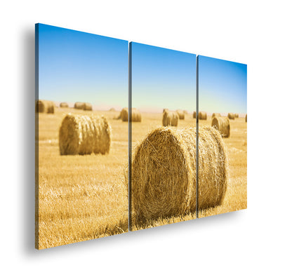 Hauptbild Farbig 3 Teilig