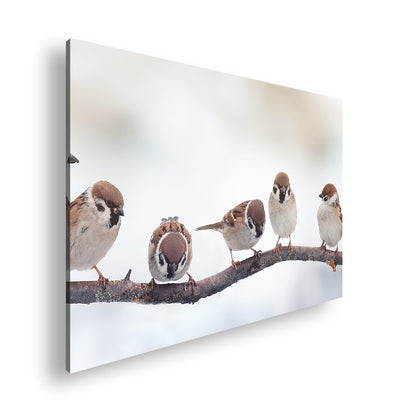 Hauptbild Farbig Standart