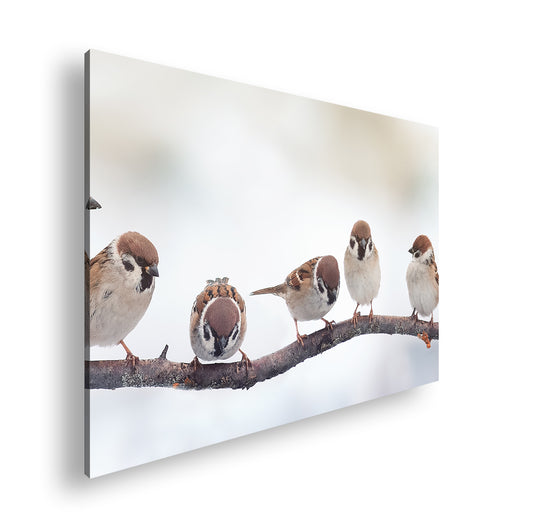 Hauptbild Farbig Standart