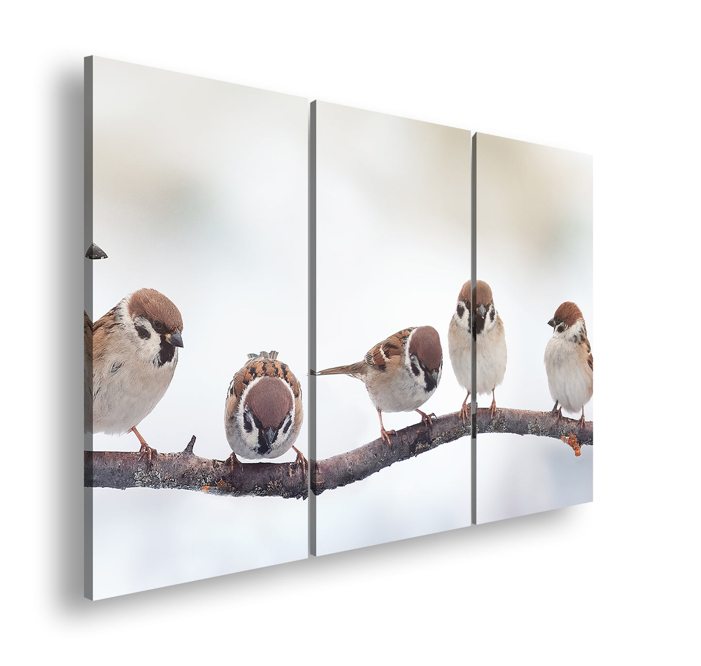 Hauptbild Farbig 3 Teilig