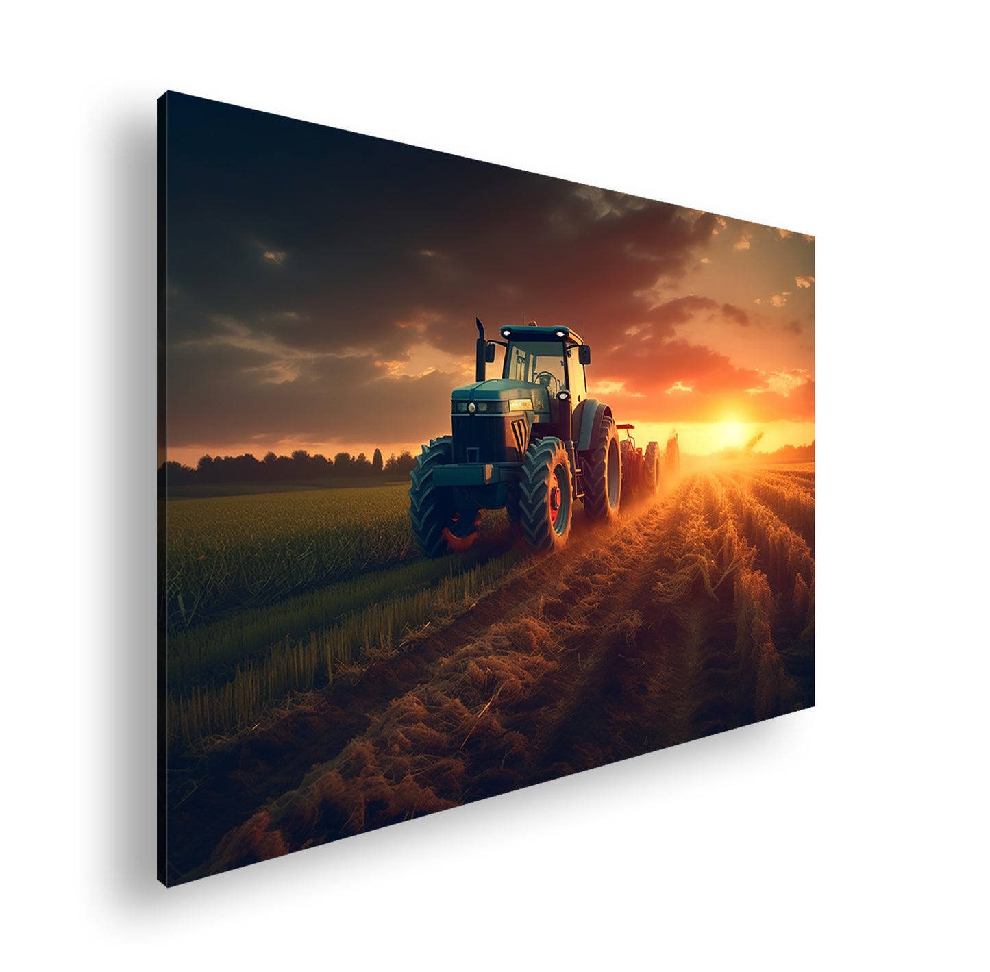 Hauptbild Farbig Standart