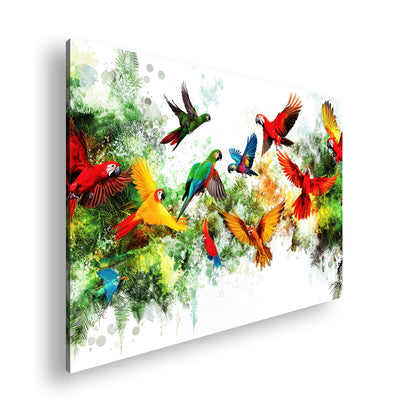 Hauptbild Farbig Standart