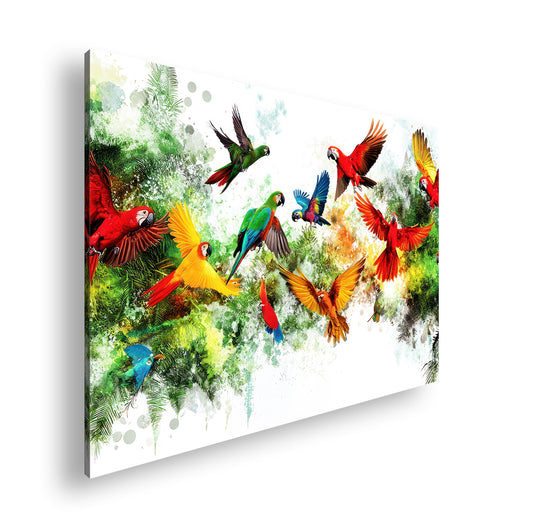 Hauptbild Farbig Standart