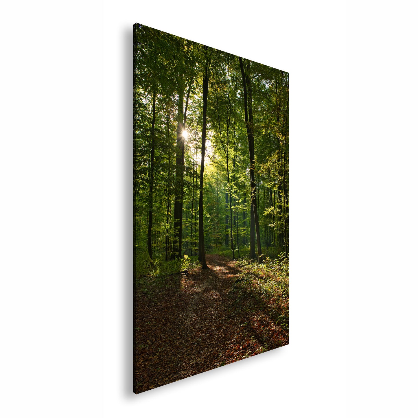 Hauptbild Farbig Standart