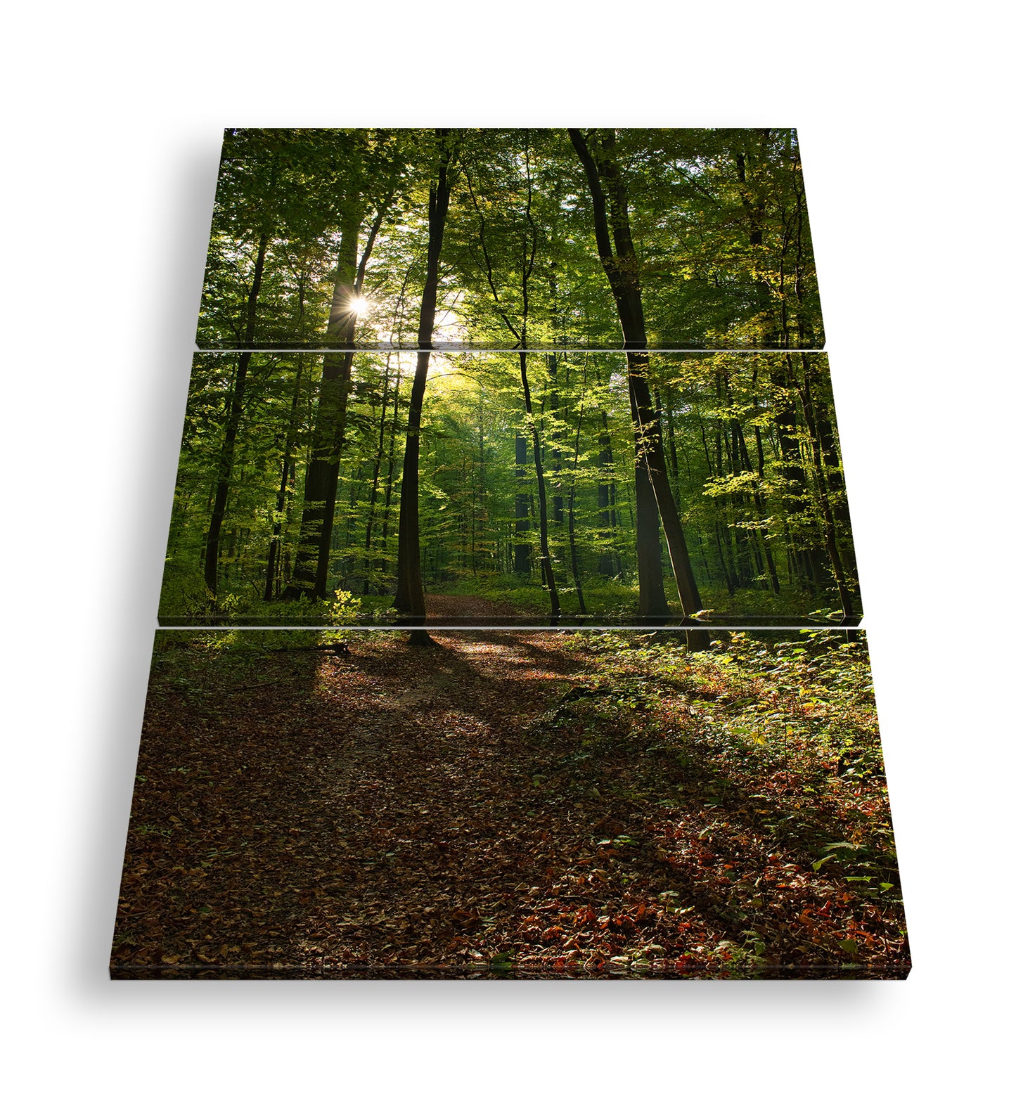 Hauptbild Farbig 3 Teilig