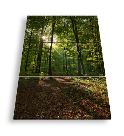 Hauptbild Farbig 3 Teilig