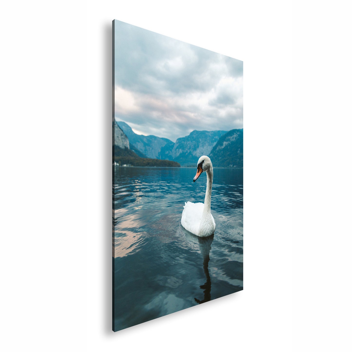 Hauptbild Farbig Standart