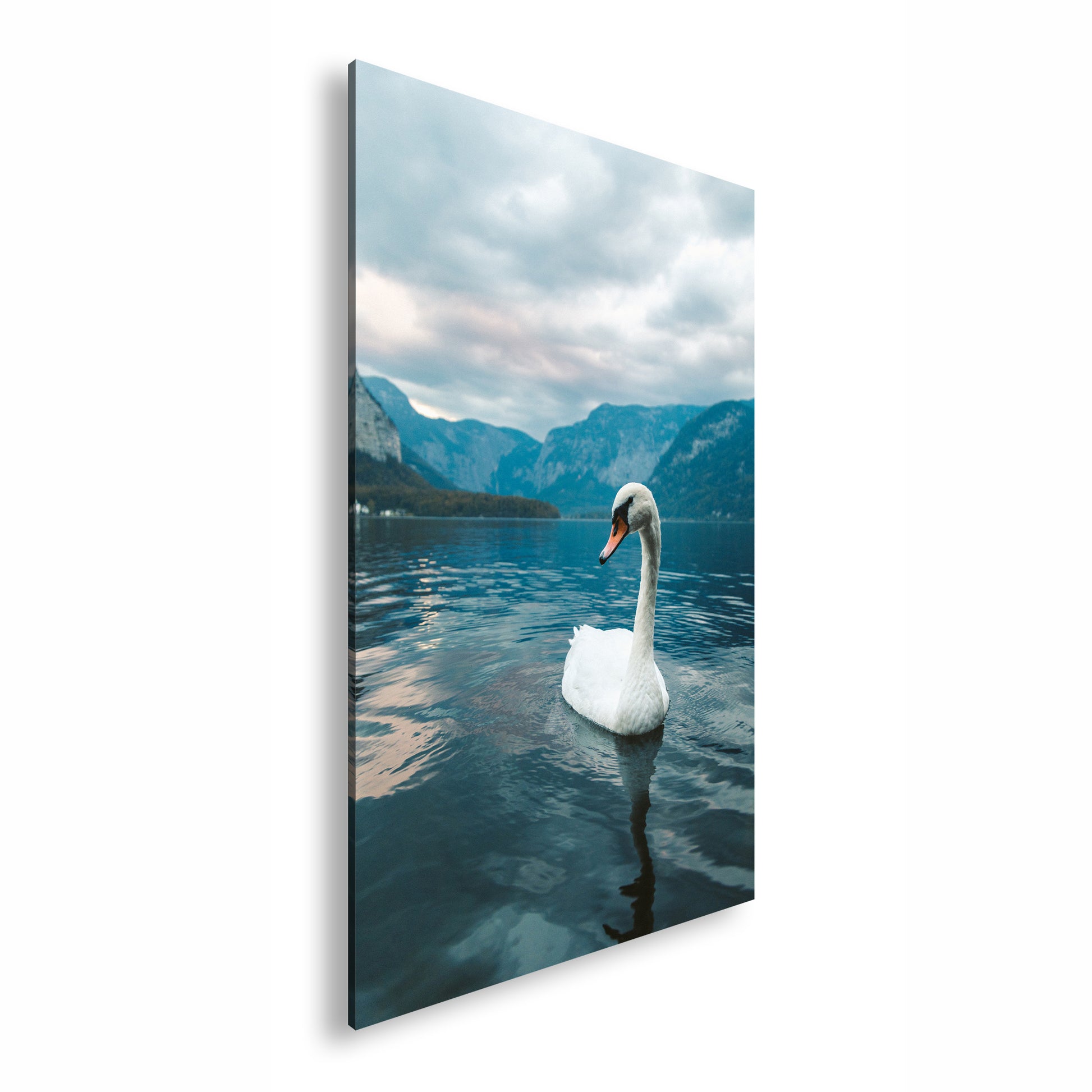 Hauptbild Farbig Standart