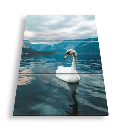 Hauptbild Farbig 3 Teilig